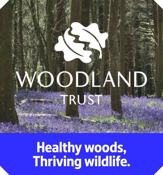 The Woodland Trust. Healthy Woods, Thriving Wildlife.
