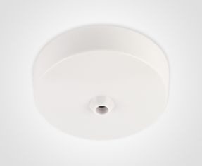 Ceiling Rose Light Fittings