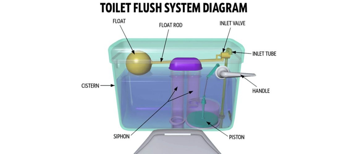 diagram of  How does a toilet flush system work?