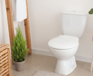 Image of a Push Flush Toilet