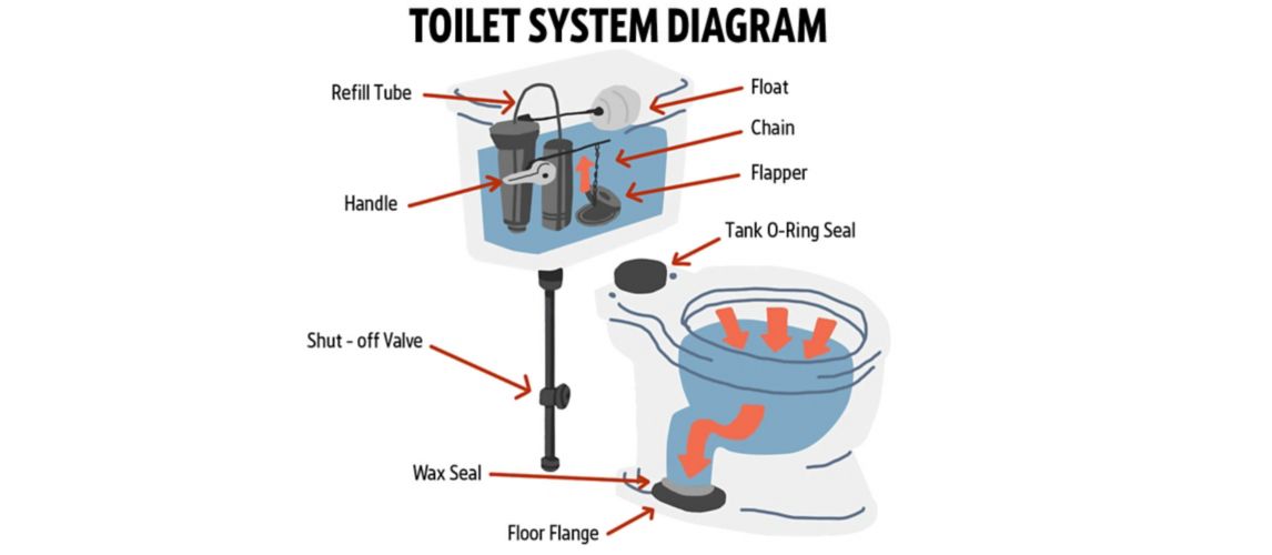 Image of a Toilet System Diagram