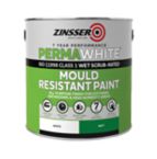 Damp Proof Paint