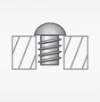 Rounded PZ Woodscrews