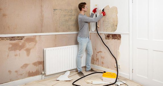 Wagner Wallpaper Strippers